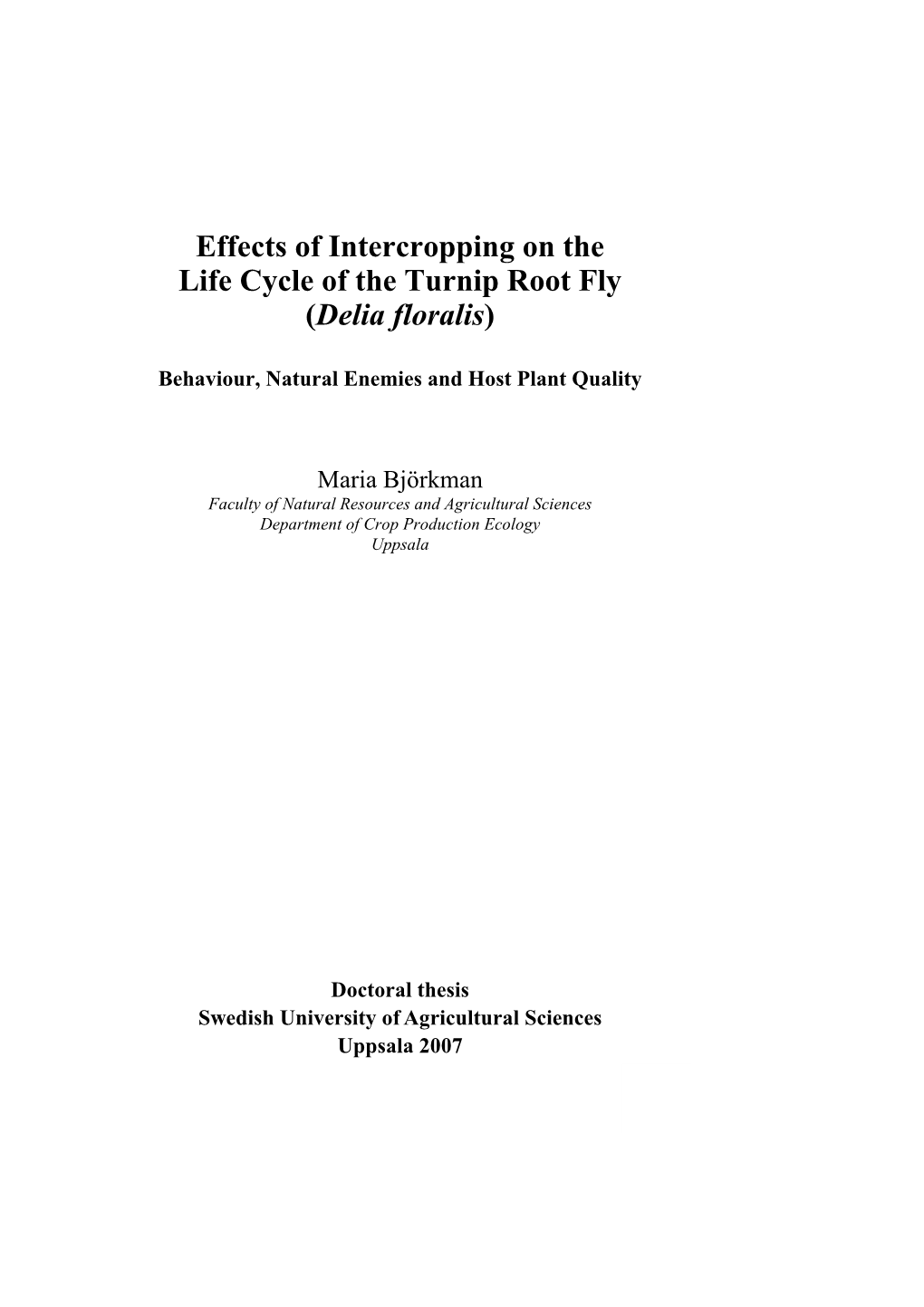 Effects of Intercropping on the Life Cycle of the Turnip Root Fly (Delia Floralis)