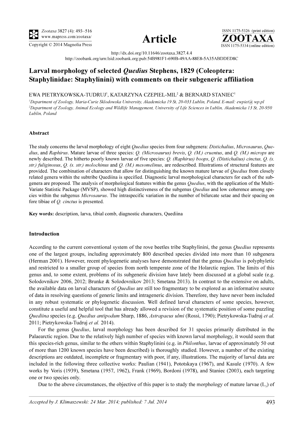 Larval Morphology of Selected Quedius Stephens, 1829 (Coleoptera: Staphylinidae: Staphylinini) with Comments on Their Subgeneric Affiliation