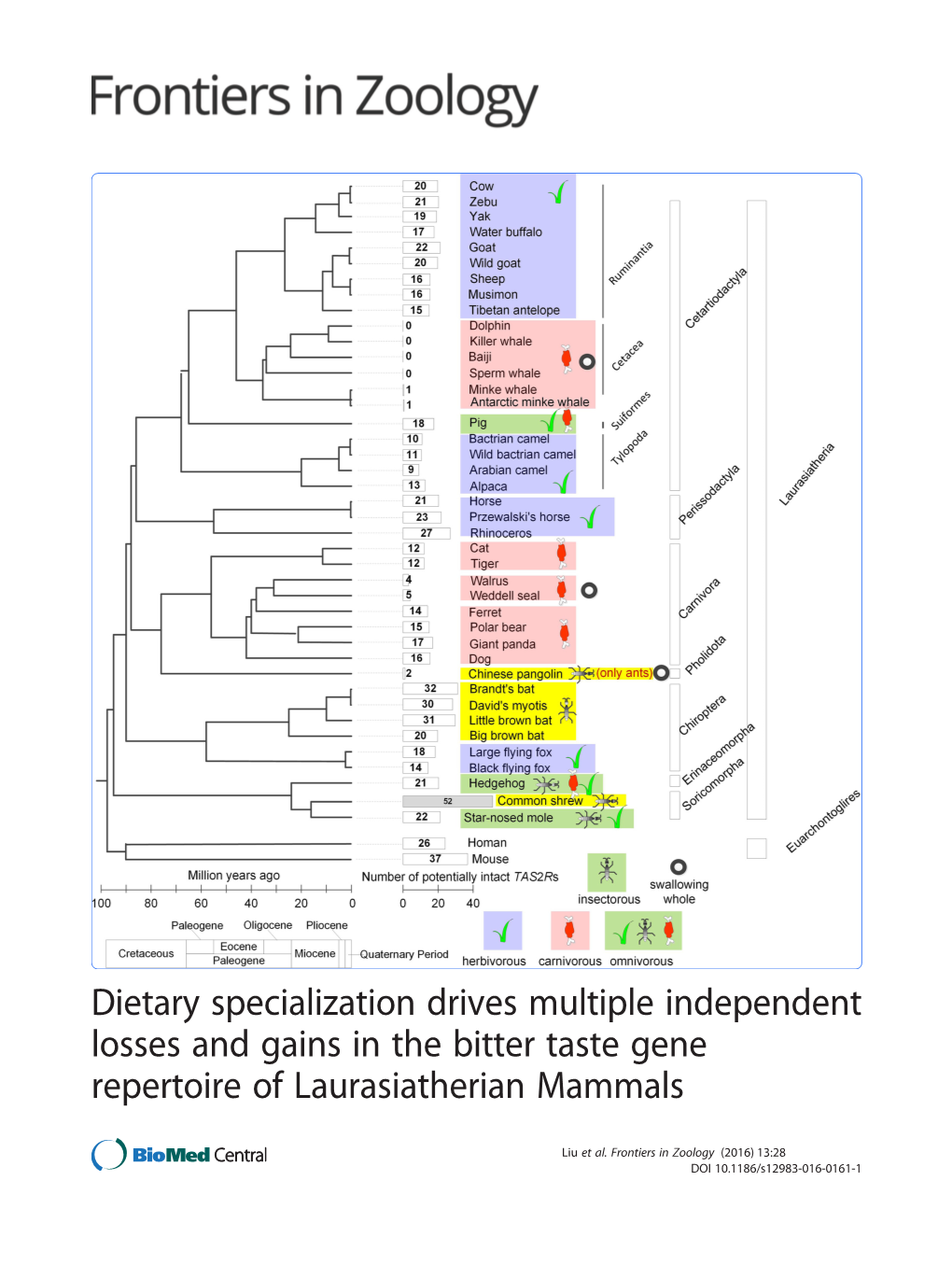 Dietary Specialization Drives Multiple Independent Losses and Gains in the Bitter Taste Gene Repertoire of Laurasiatherian Mammals