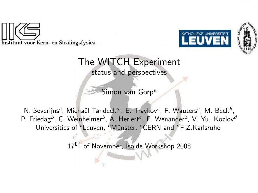 The WITCH Experiment Status and Perspectives