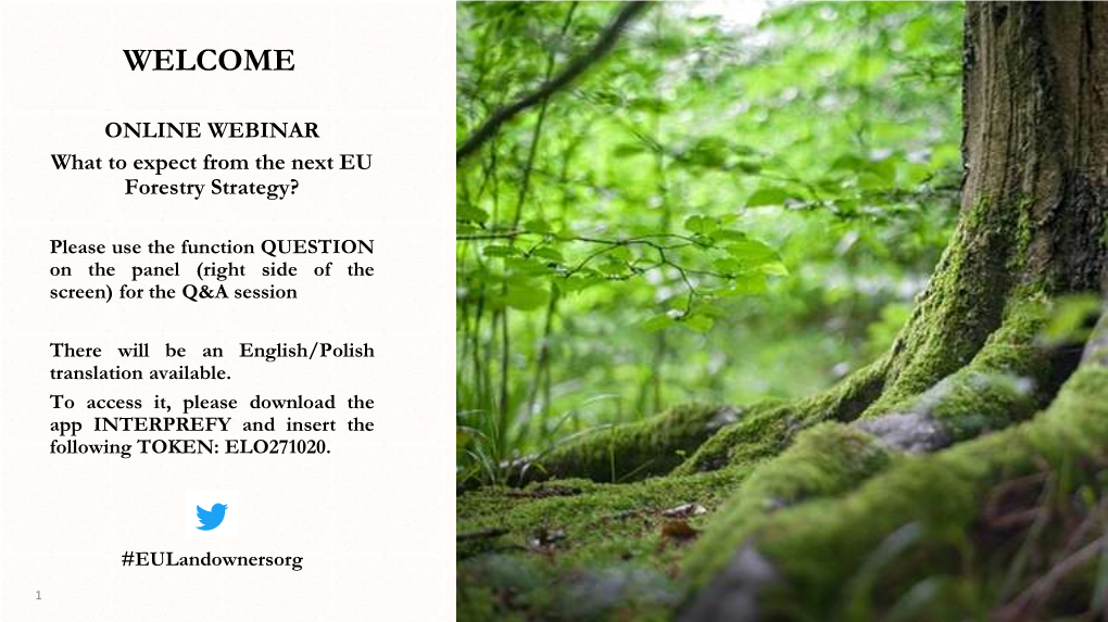 EU Forest Strategy