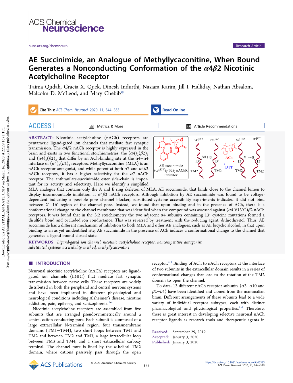 AE Succinimide, an Analogue of Methyllycaconitine, When Bound