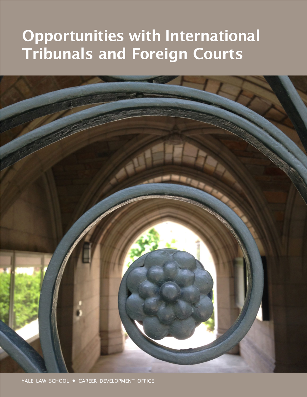 Opportunities with International Tribunals and Foreign Courts
