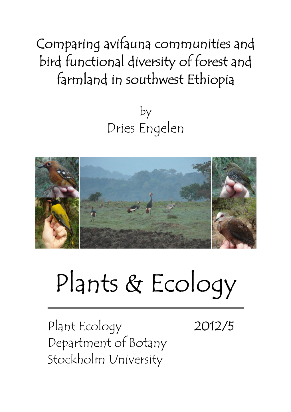 Plants & Ecology