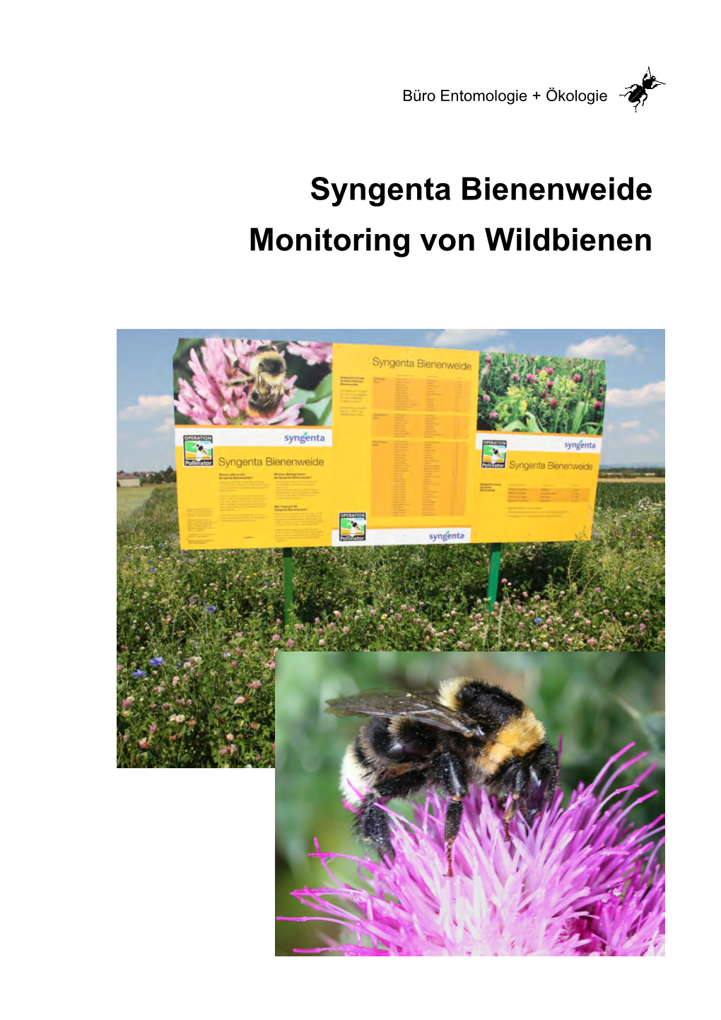 Wildbienen Ackerrandstreifen HN