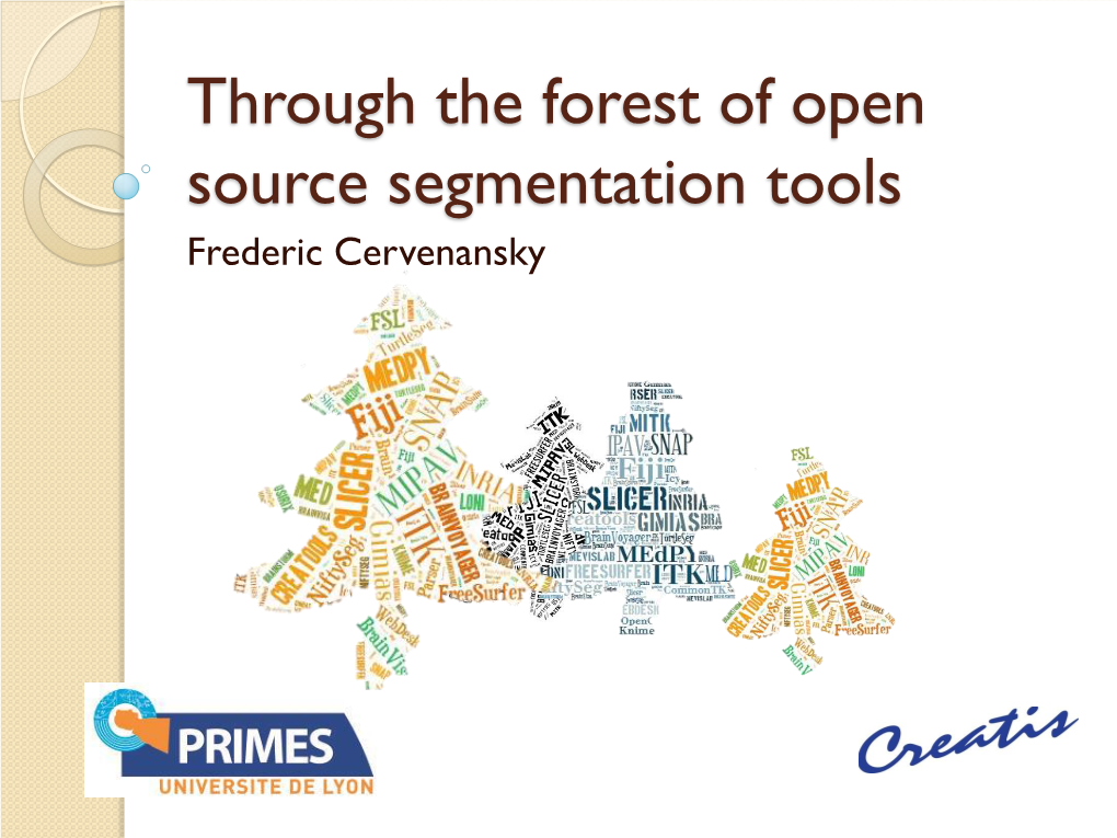 Segmentation Tools Frederic Cervenansky What Is Open-Source