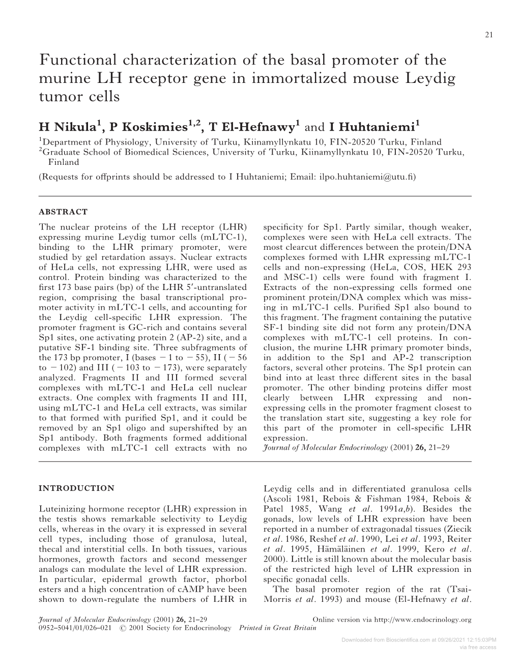 Functional Characterization of the Basal Promoter of the Murine LH Receptor Gene in Immortalized Mouse Leydig Tumor Cells