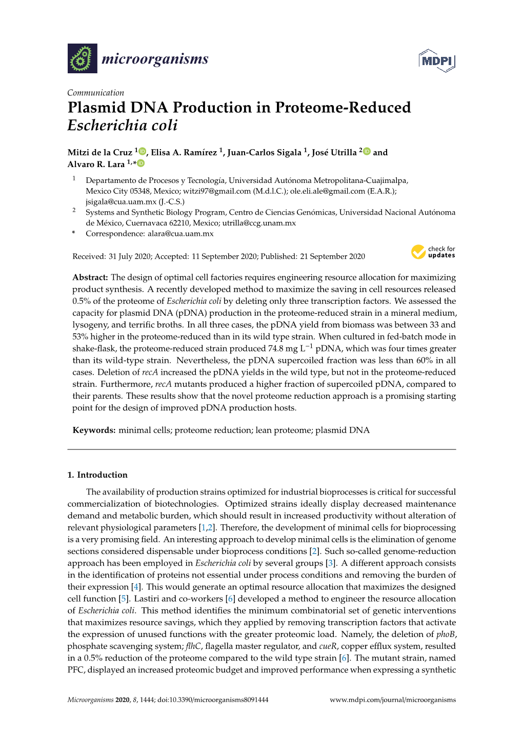 Plasmid DNA Production in Proteome-Reduced Escherichia Coli