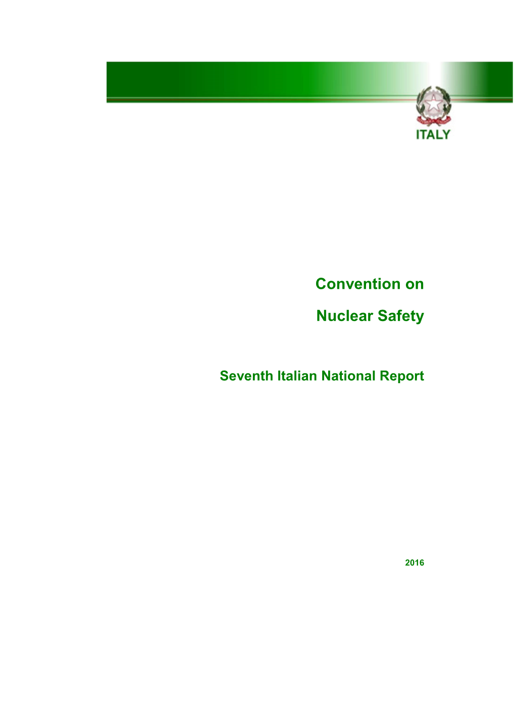 CNS Fifth Italian National Report