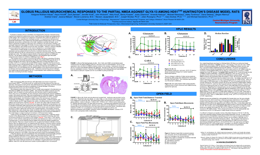 Globus Pallidus Neurochemical Responses to the Partial Nmda Agonist Glyx-13 Among Hd51 Huntington's Disease Model Rats