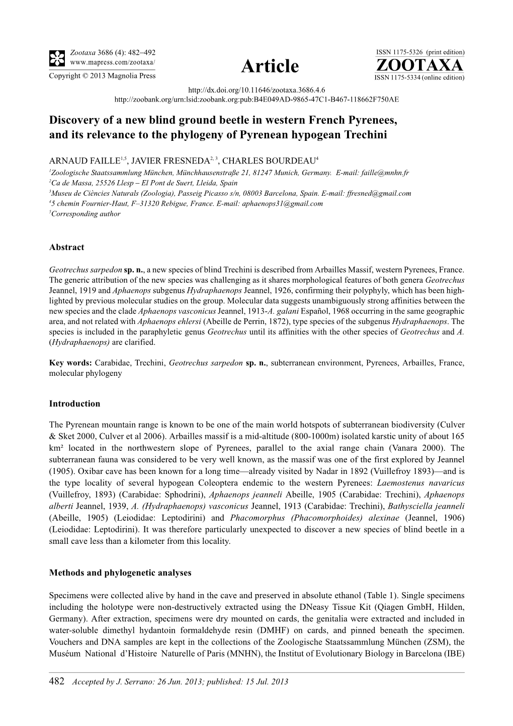 Discovery of a New Blind Ground Beetle in Western French Pyrenees, and Its Relevance to the Phylogeny of Pyrenean Hypogean Trechini