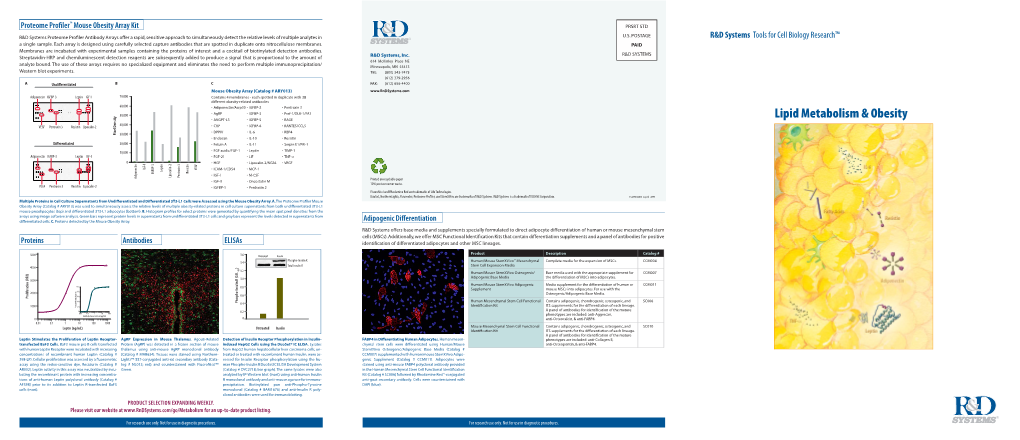 Lipid Metabolism & Obesity