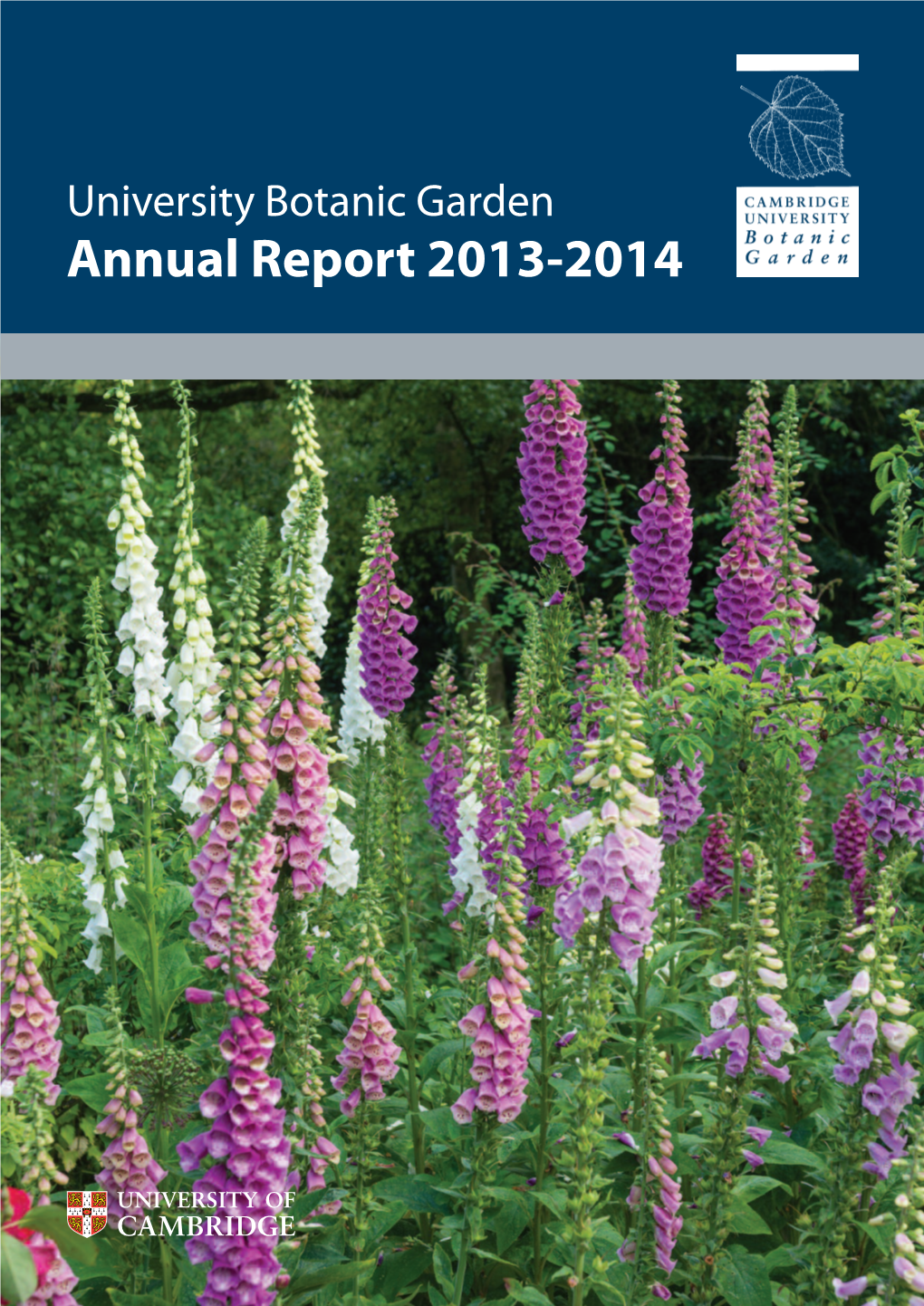 University Botanic Garden Annual Report 2013-2014 Director’S Report