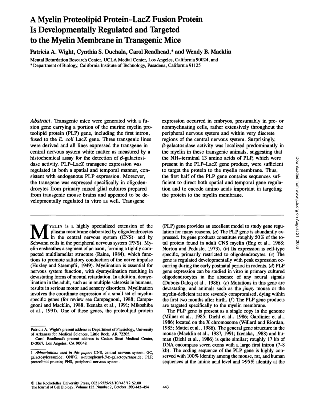 A Myelin Proteolipid Protein-Lacz Fusion Protein Is Developmentally Regulated and Targeted to the Myelin Membrane in Transgel C Mice Patricia A