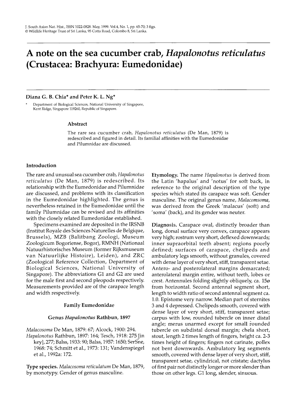 A Note on the Sea Cucumber Crab, Hapalonotus Reticulatus (Crustacea: Brachyura: Eumedonidae)