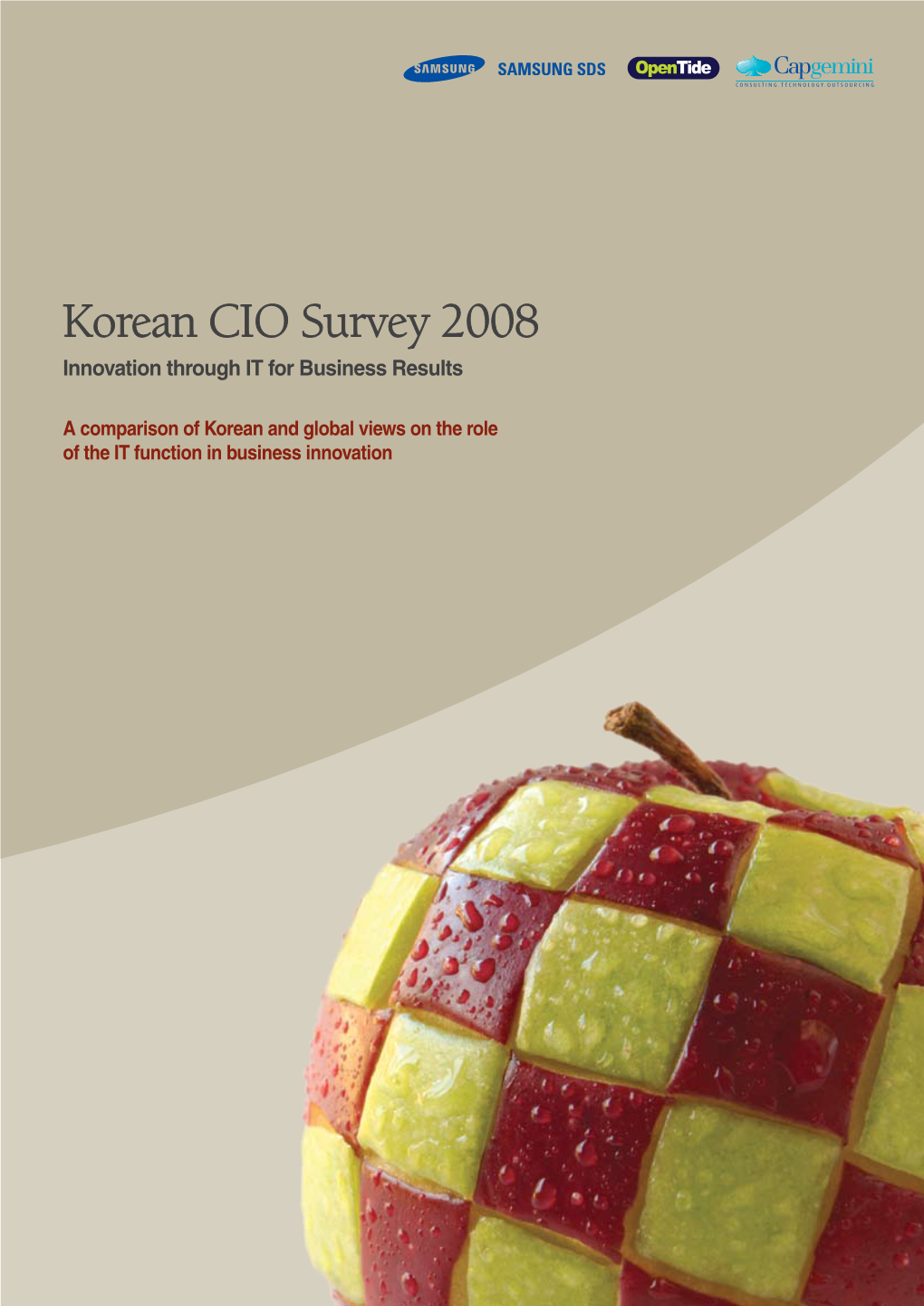 Korean CIO Survey 2008