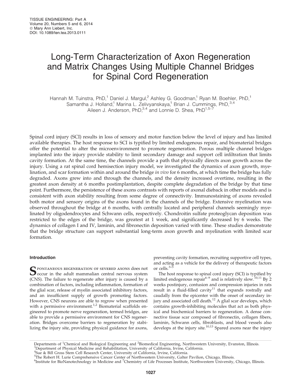 Long-Term Characterization of Axon Regeneration and Matrix Changes Using Multiple Channel Bridges for Spinal Cord Regeneration