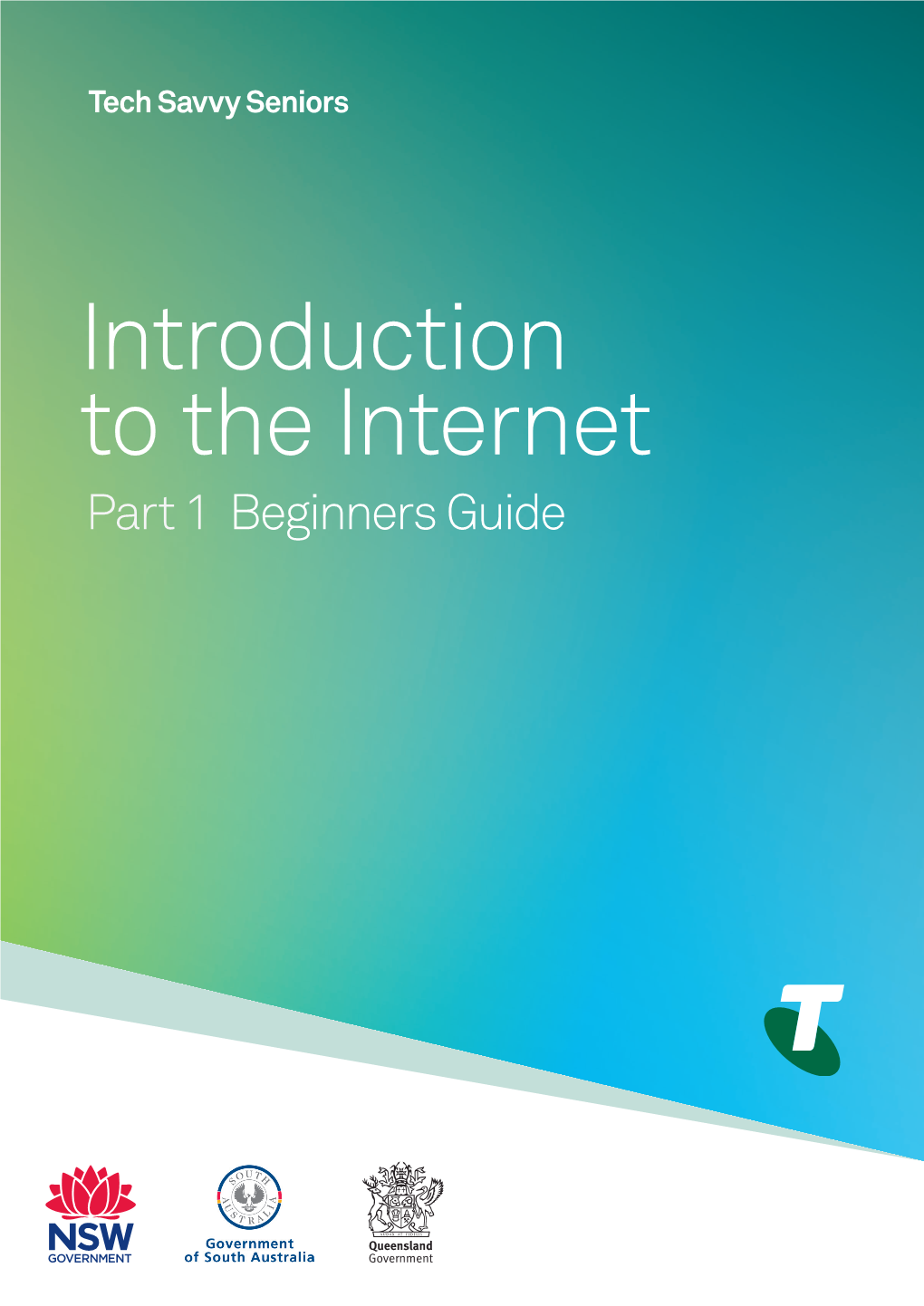 Introduction to the Internet Part 1 Beginners Guide TOPIC INTRODUCTION the INTERNET - PART 1