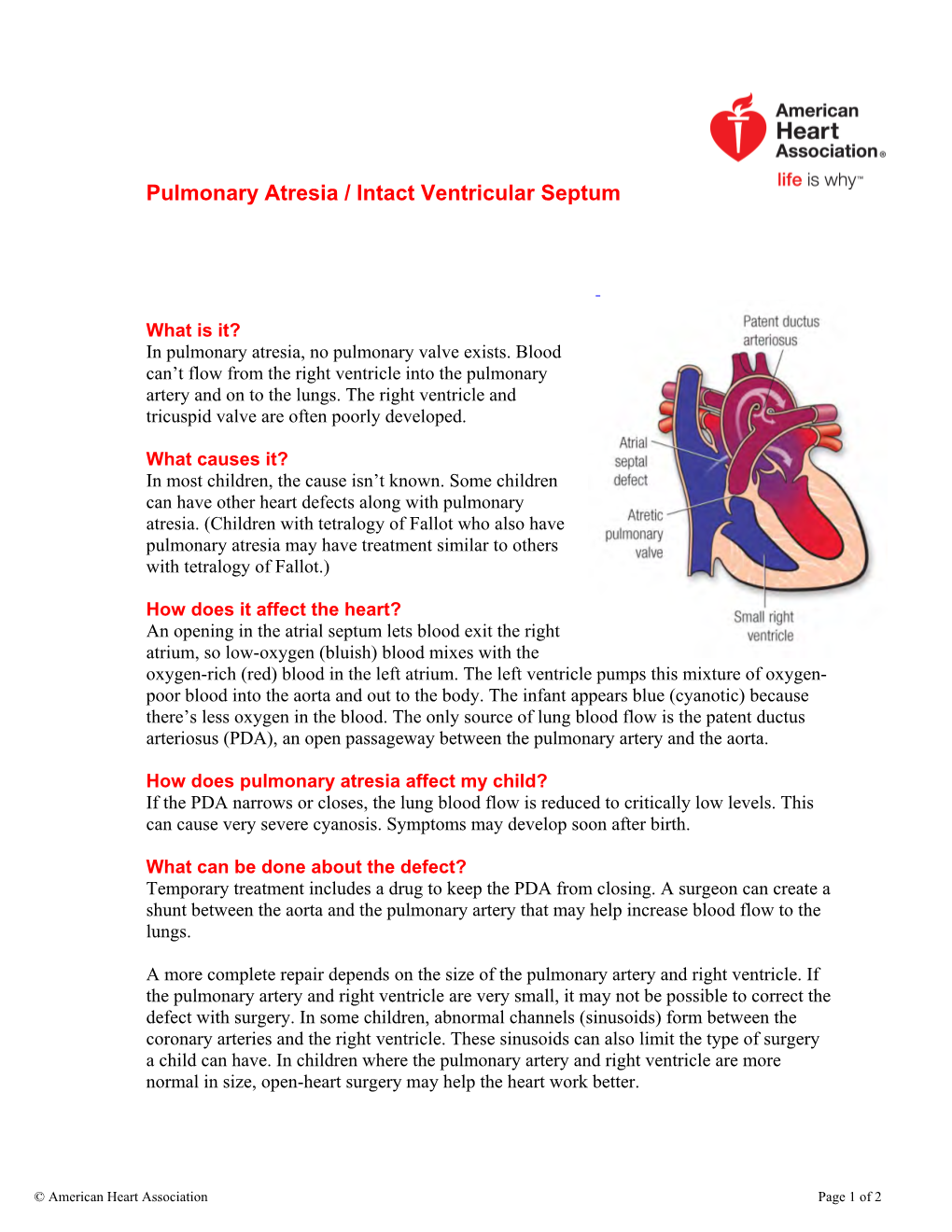 Pulmonary Atresia / Intact Ventricular Septum