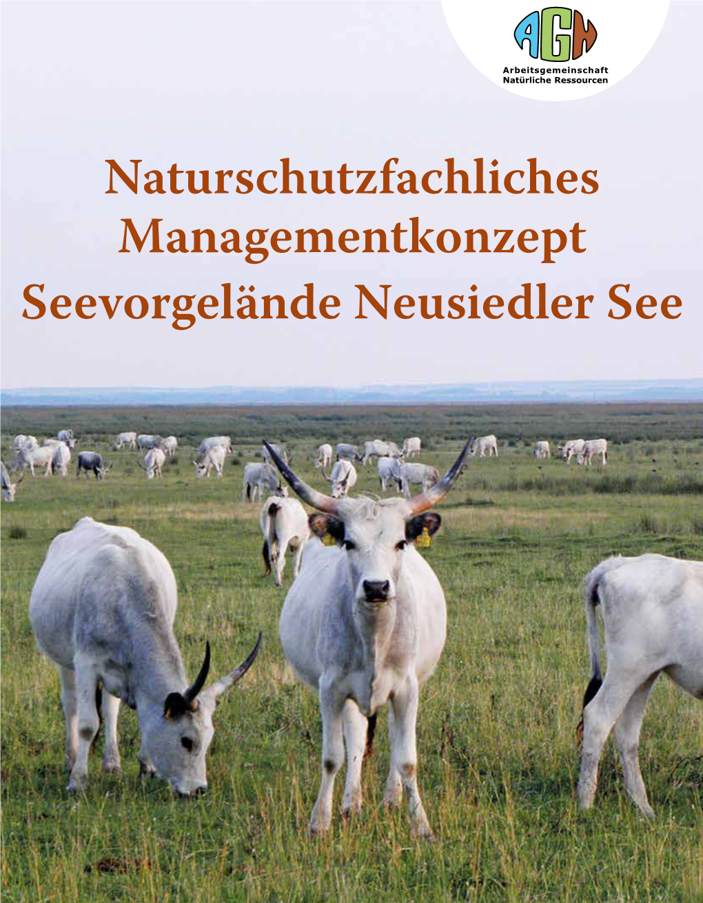 Seevorgelände Neusiedler