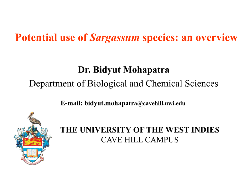 Sargassum Species: an Overview