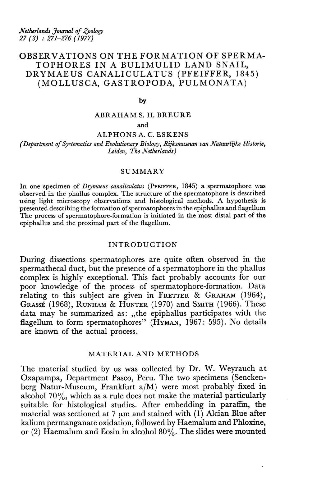 Observations on the Formation of Sperma- Tophores in a Bulimulid Land Snail, Drymaeus Canaliculatus (Pfeiffer, 1845) (Mollusca, Gastropoda, Pulmonata)