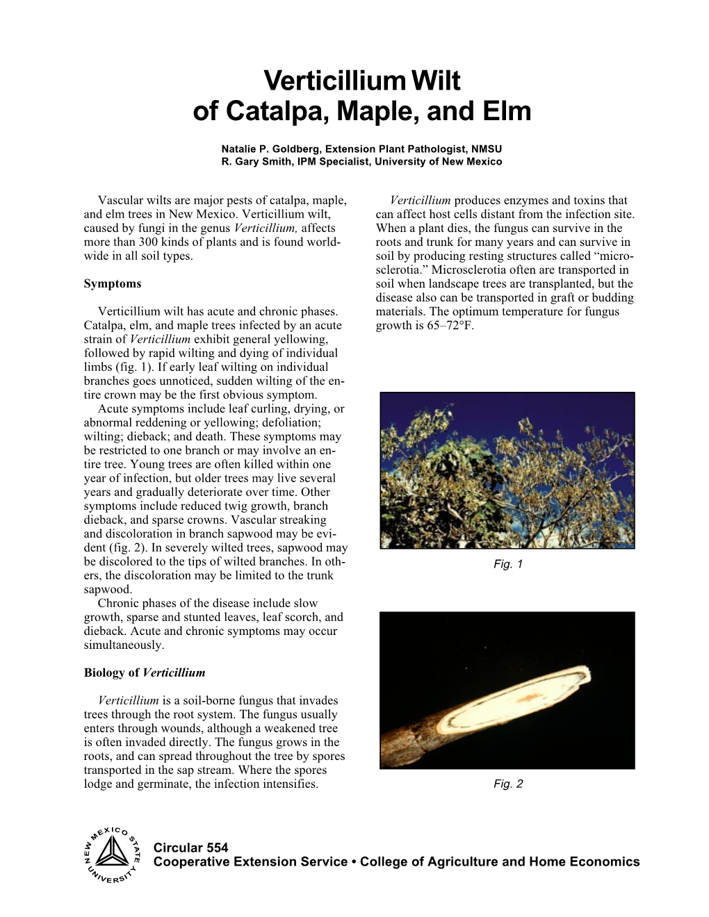 Verticillium Wilt of Catalpa, Maple, and Elm (Circular 554)