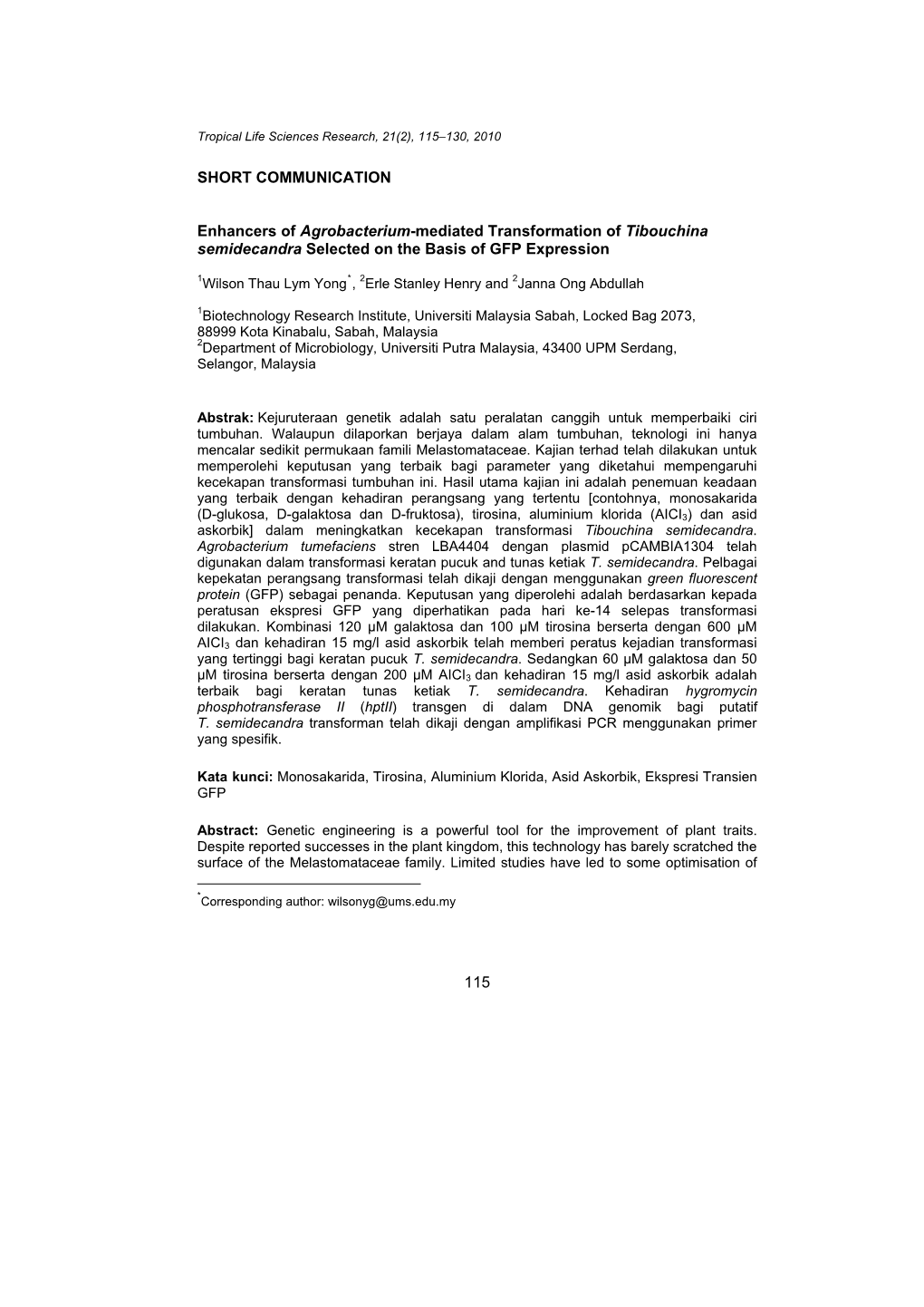 Enhancers of Agrobacterium-Mediated Transformation of Tibouchina Semidecandra Selected on the Basis of GFP Expression