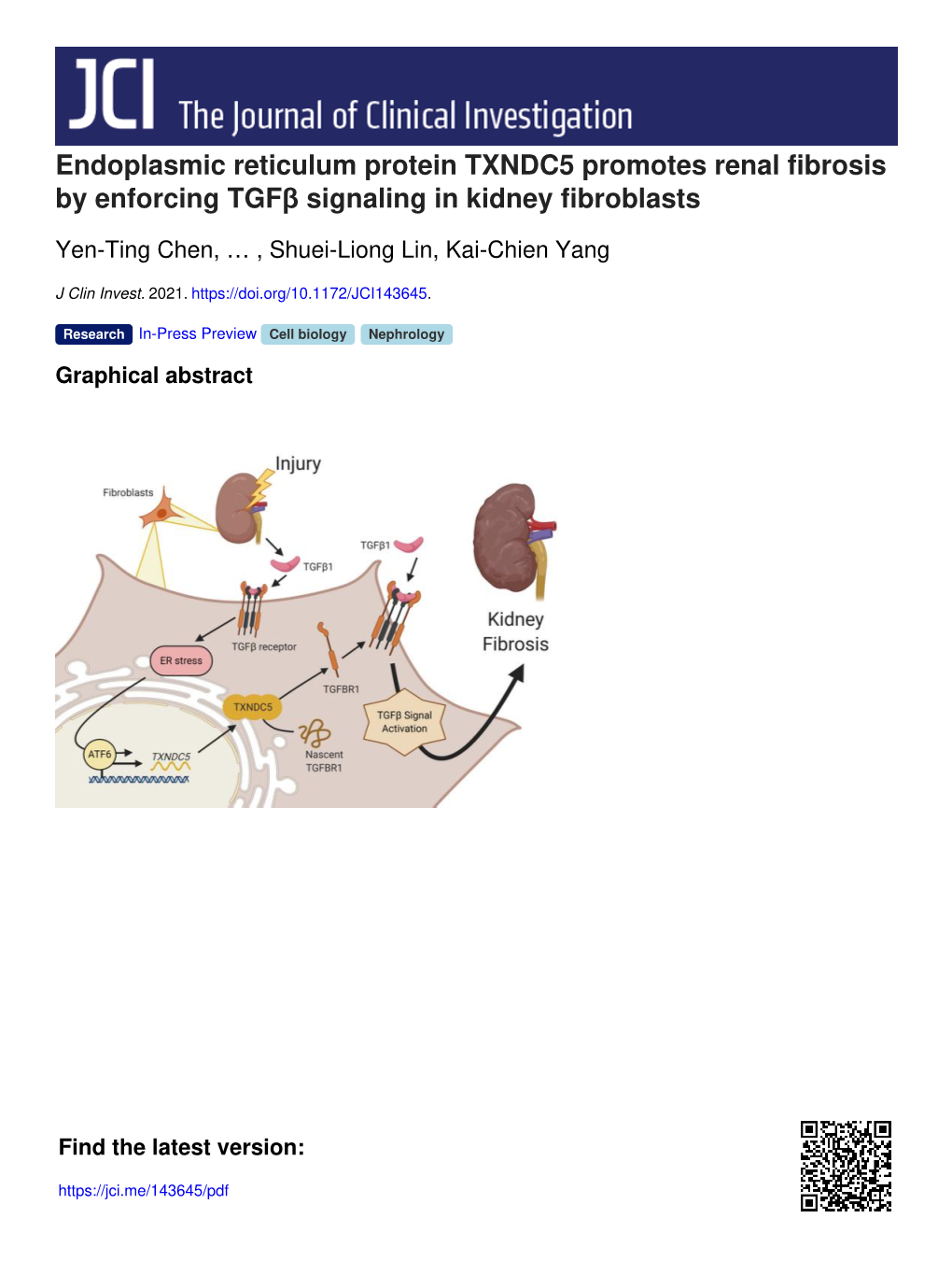 Endoplasmic Reticulum Protein TXNDC5 Promotes Renal Fibrosis by Enforcing Tgfβ Signaling in Kidney Fibroblasts