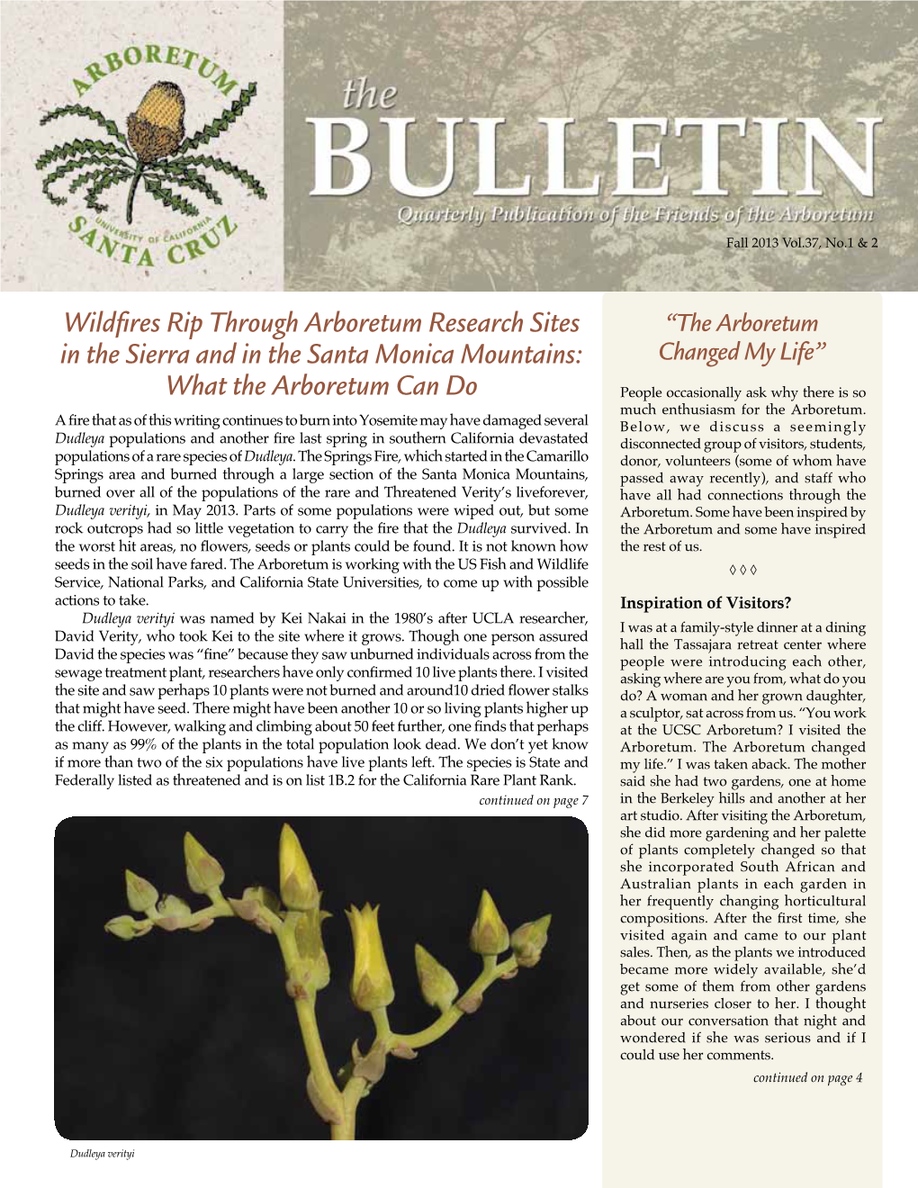 The Bulletin