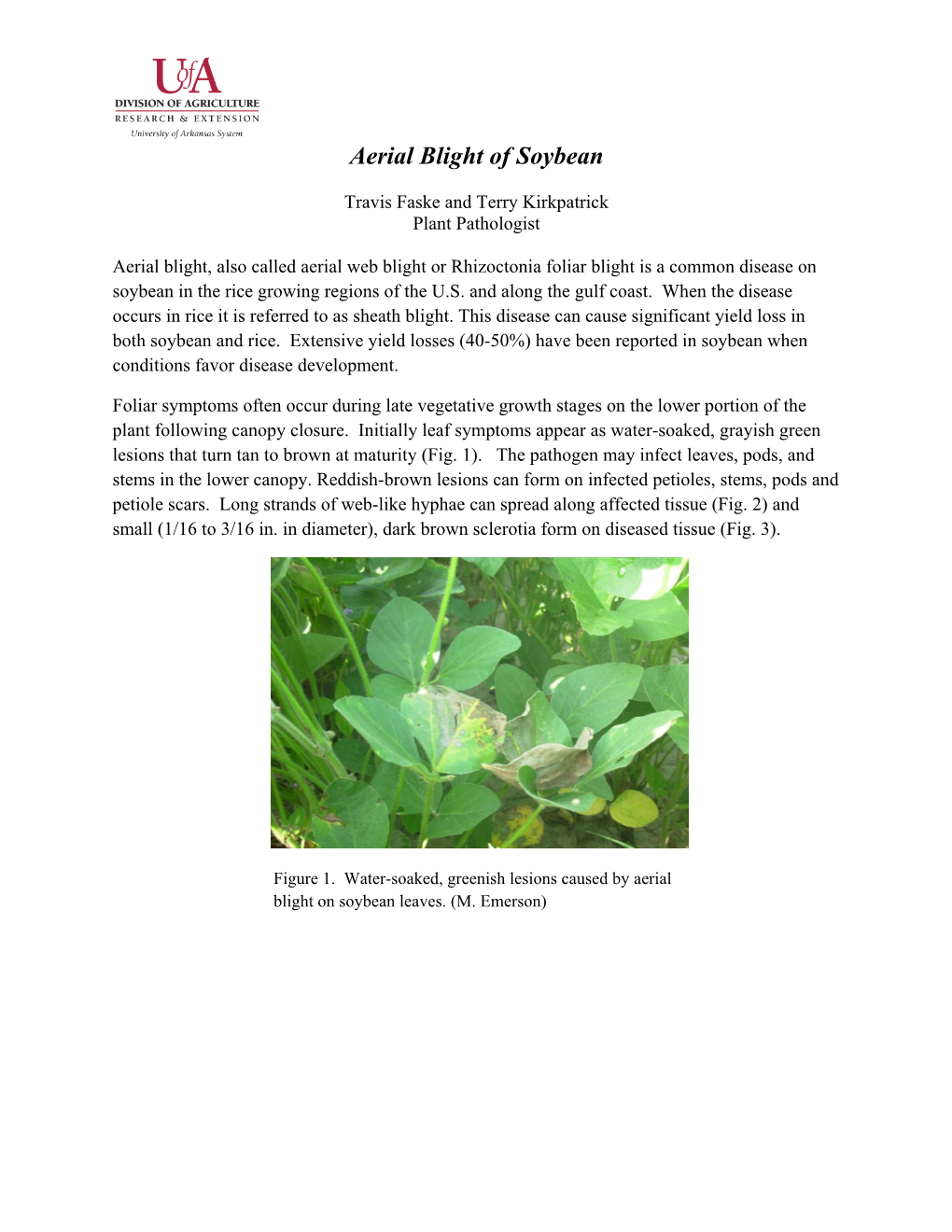 Aerial Blight of Soybean