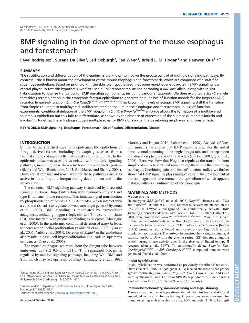 BMP Signaling in the Development of the Mouse Esophagus and Forestomach Pavel Rodriguez1, Susana Da Silva1, Leif Oxburgh2, Fan Wang1, Brigid L