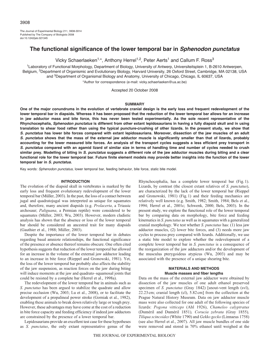 The Functional Significance of the Lower Temporal Bar in Sphenodon Punctatus