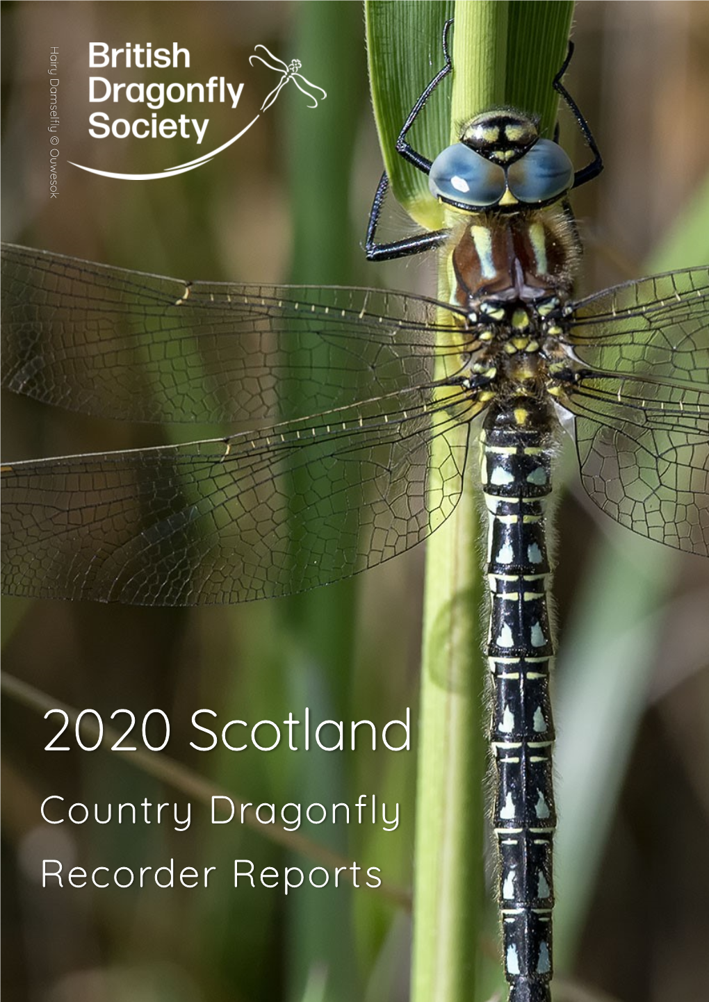 County Dragonfly Recorder Reports 2020 Scotland