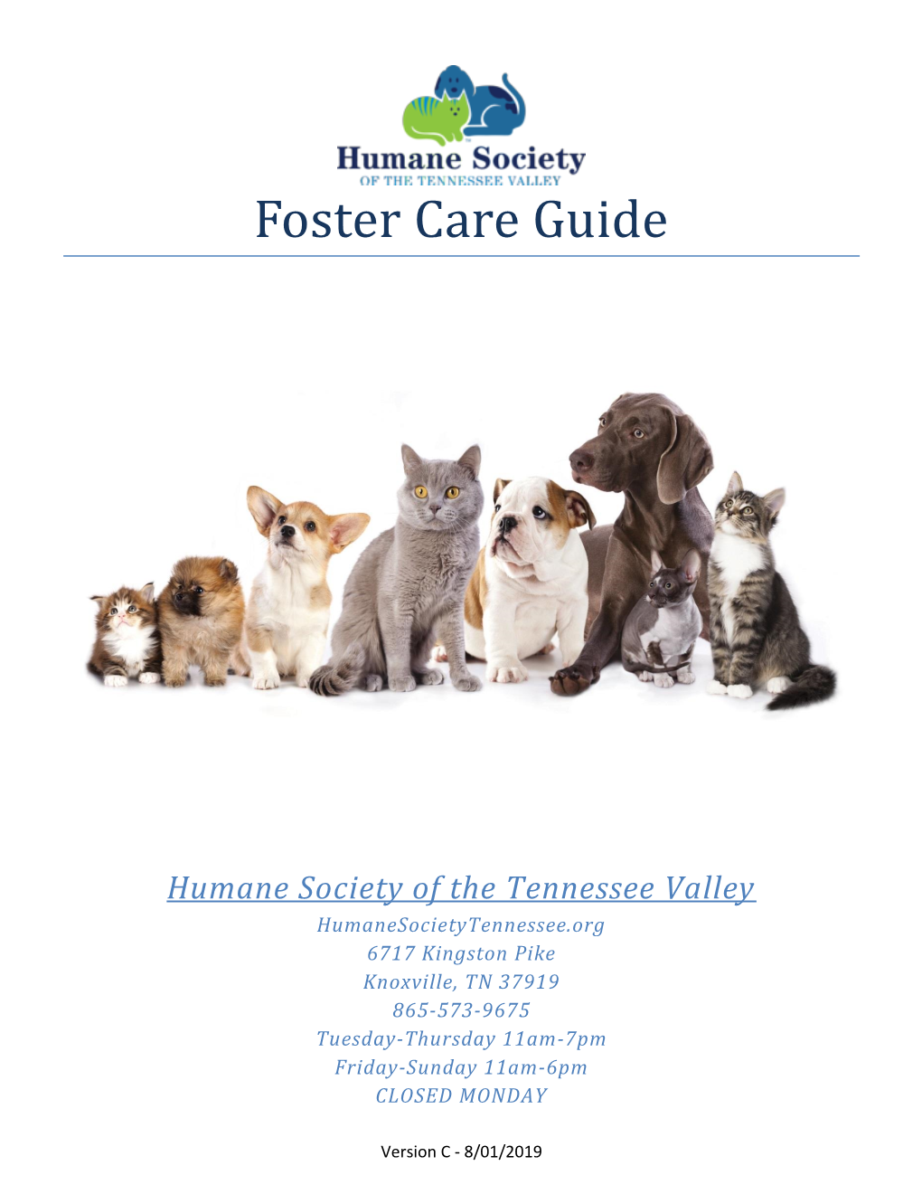 Foster Care Guide