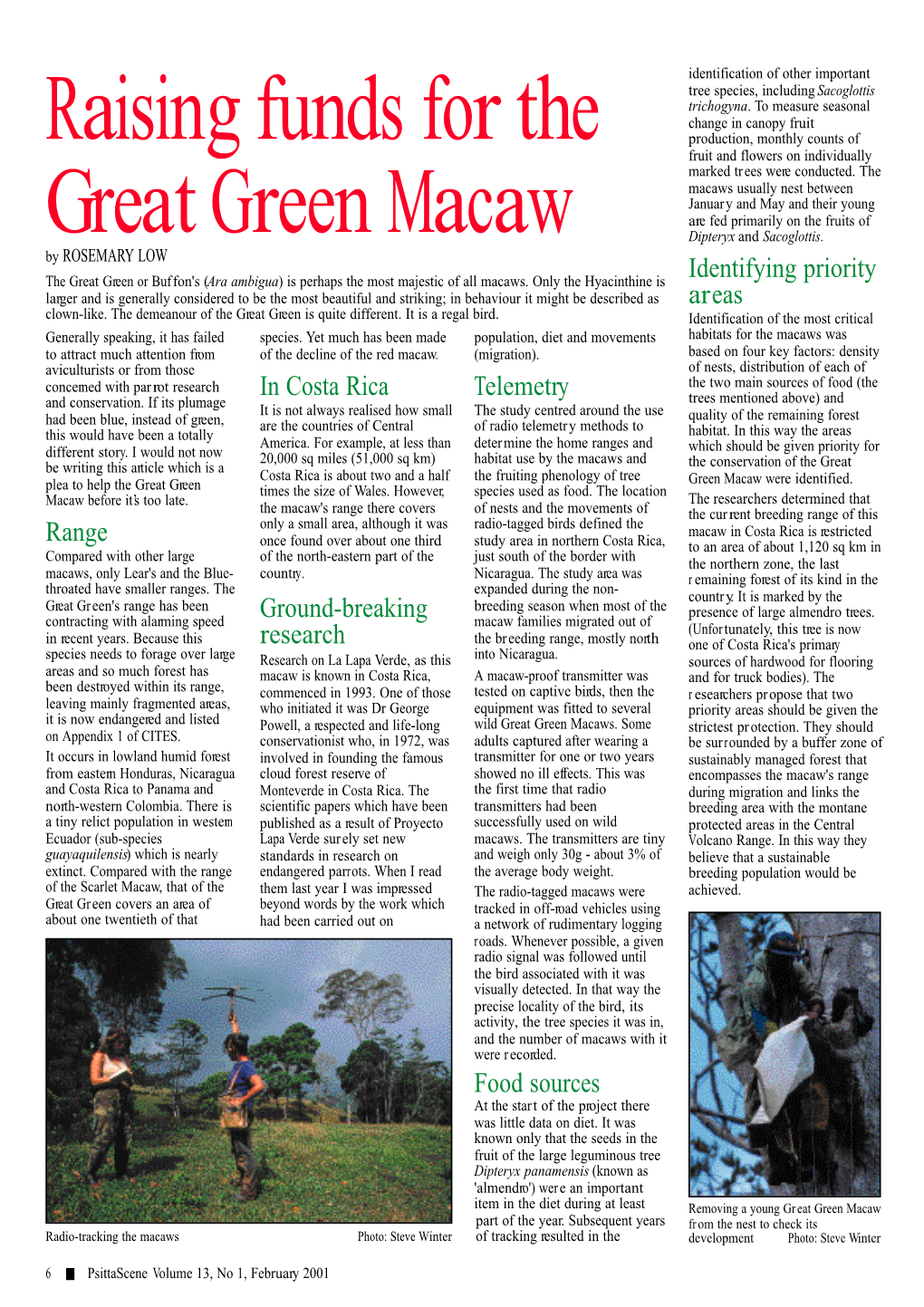 Raising Funds for the G Reat Green Macaw