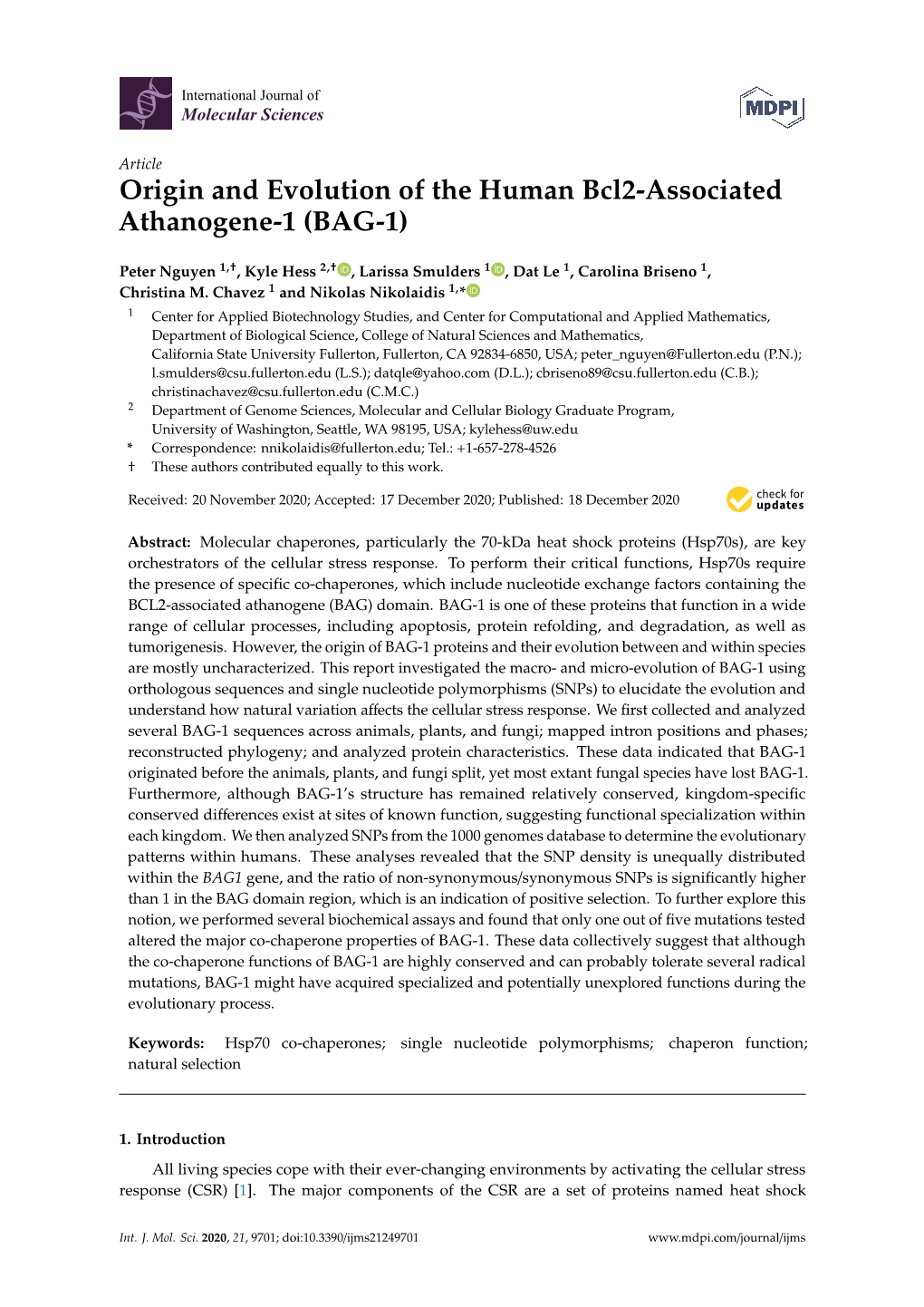 Origin and Evolution of the Human Bcl2-Associated Athanogene-1 (BAG-1)