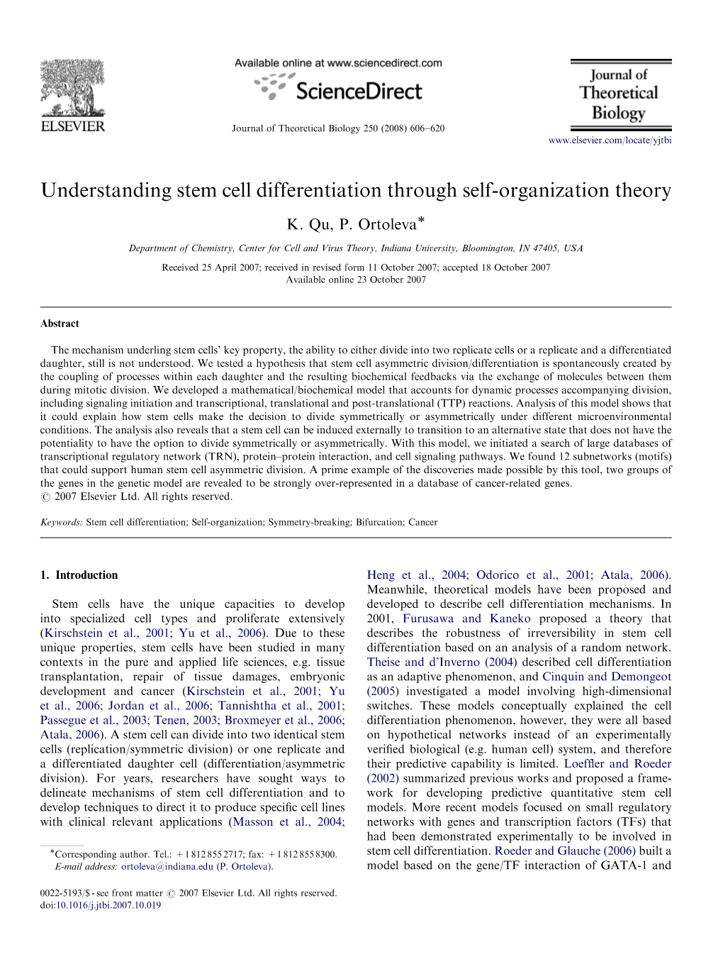 Understanding Stem Cell Differentiation Through Self-Organization Theory