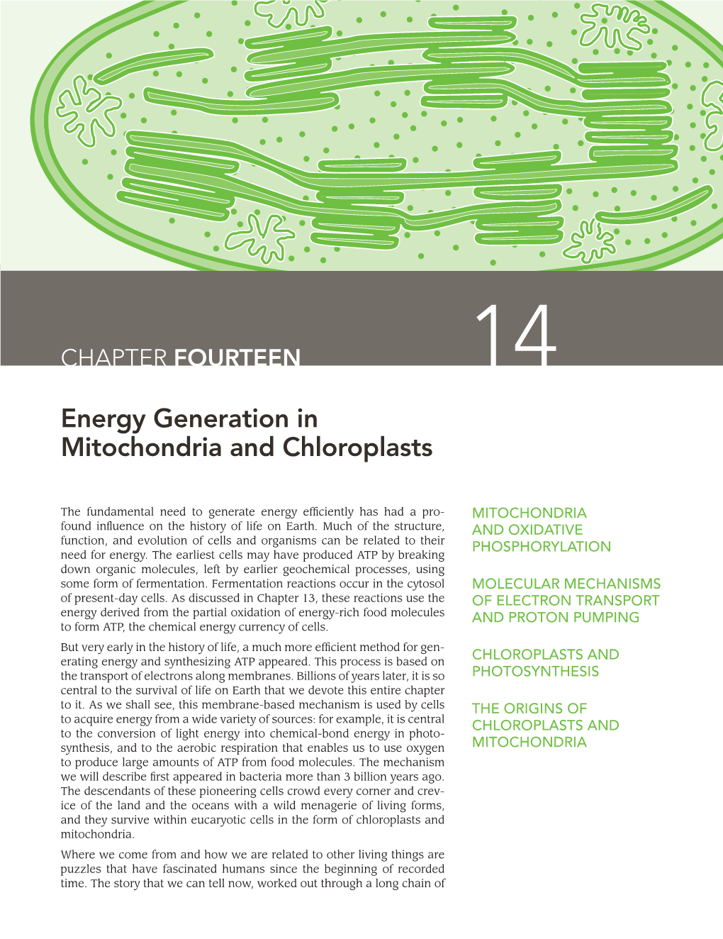 Essential Cell Biology