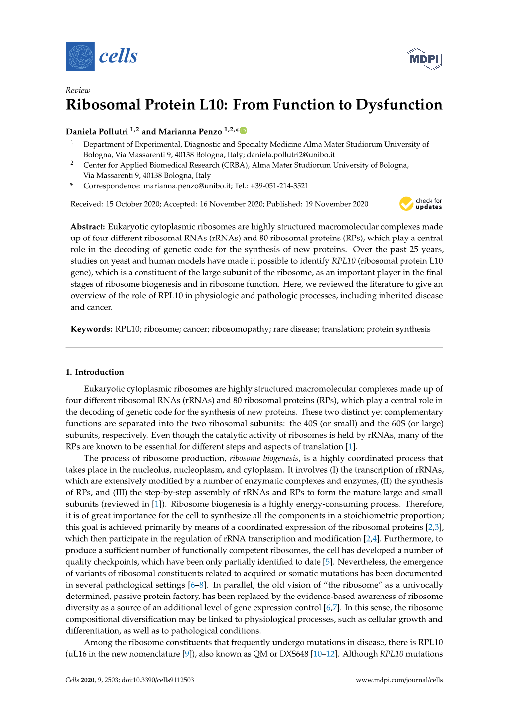 Ribosomal Protein L10: from Function to Dysfunction