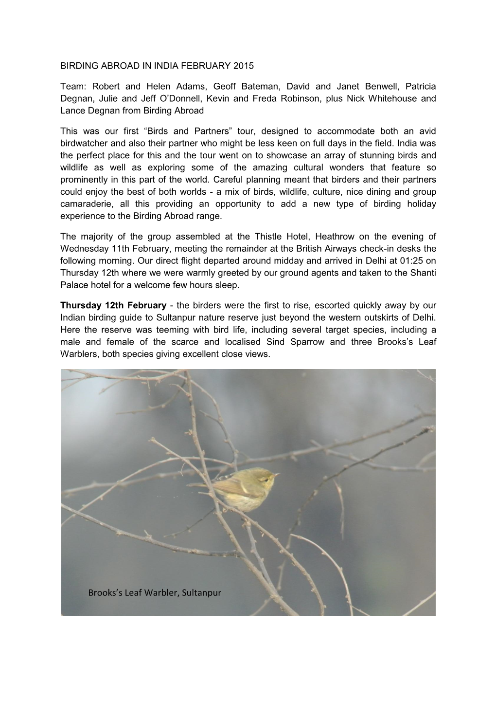 Brooks's Leaf Warbler, Sultanpur