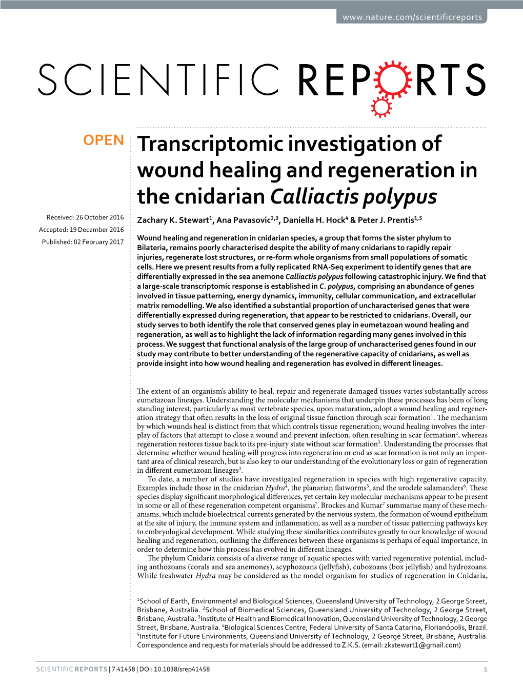 Transcriptomic Investigation of Wound Healing and Regeneration in the Cnidarian Calliactis Polypus Received: 26 October 2016 Zachary K