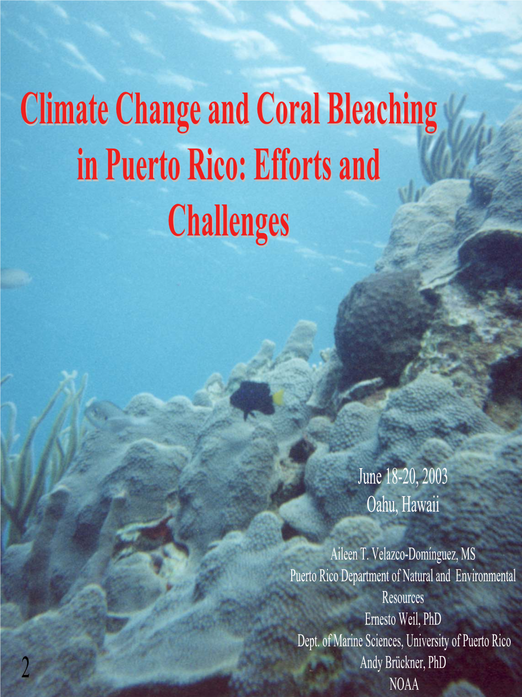 Climate Change and Coral Bleaching in Puerto Rico: Efforts and Challenges
