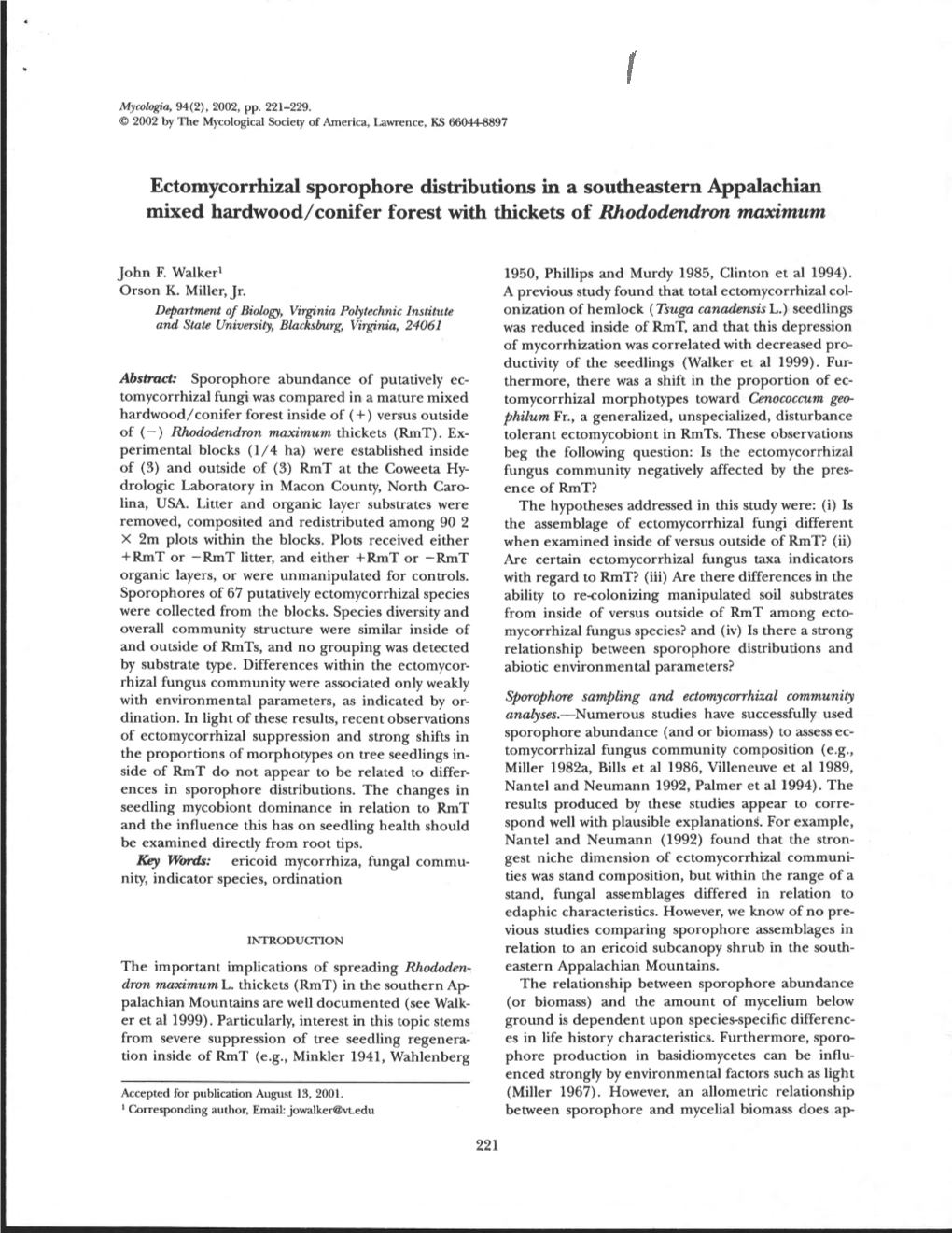 Ectomycorrhizal Sporophore Distributions in a Southeastern Appalachian Mixed Hardwood/Conifer Forest with Thickets of Rhododendron Maximum