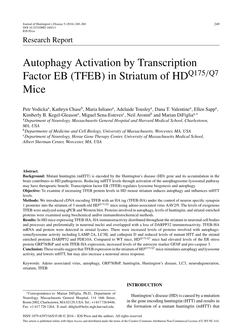 Autophagy Activation by Transcription Factor EB (TFEB) in Striatum of HD Mice