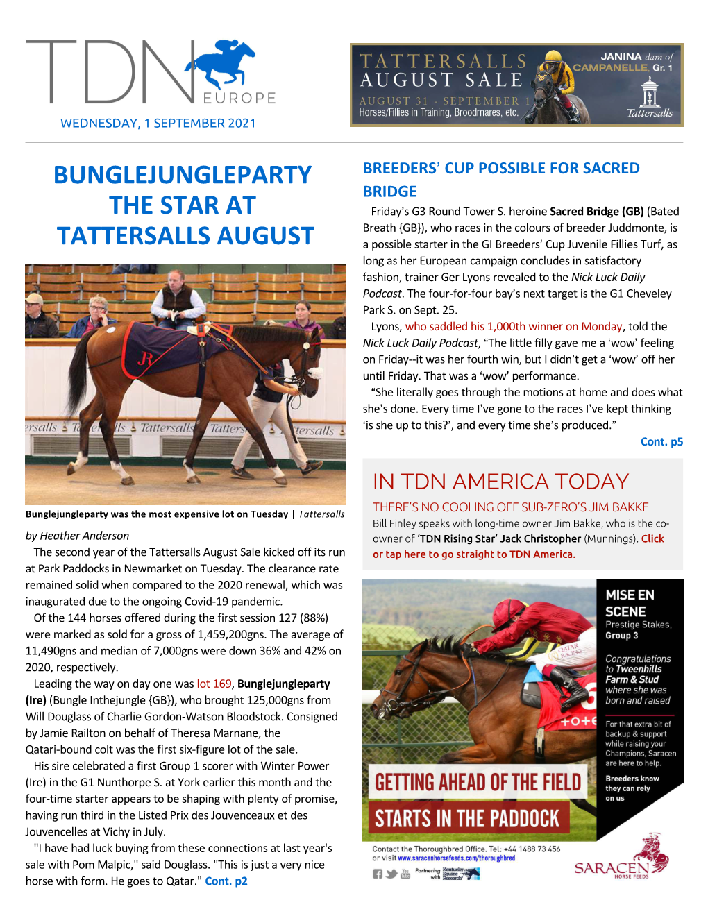 Bunglejungleparty the Star at Tattersalls August