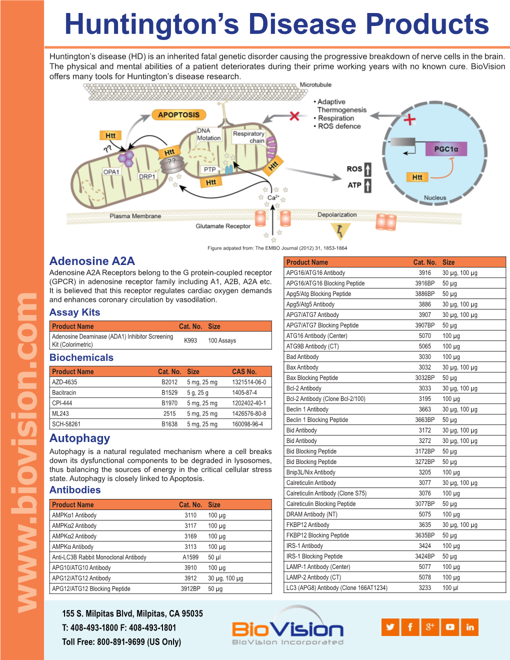 Huntington's Disease Products