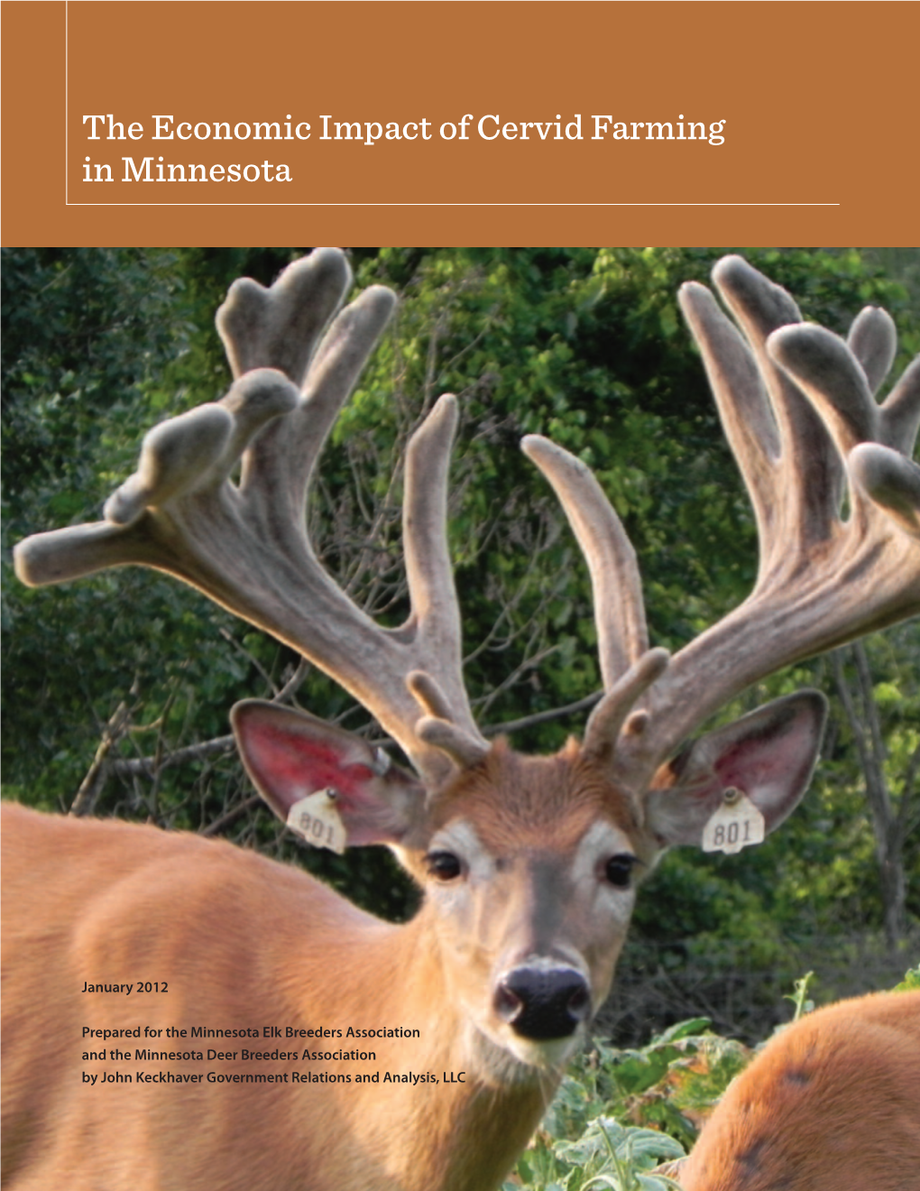 The Economic Impact of Cervid Farming in Minnesota