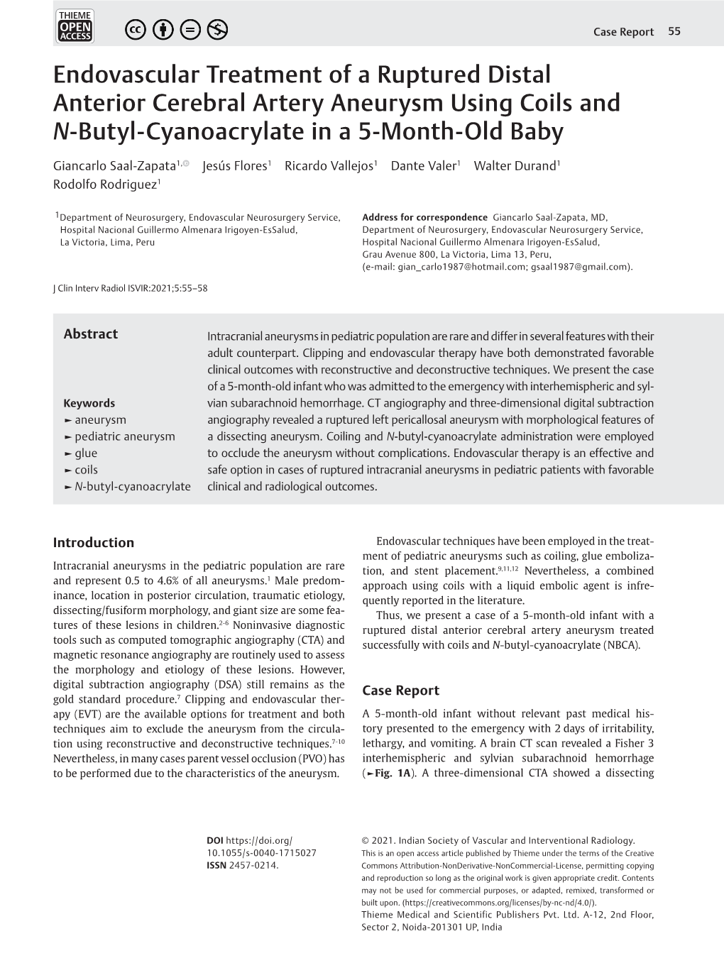 Endovascular Treatment of a Ruptured Distal Anterior Cerebral Artery Aneurysm Using Coils and N-Butyl-Cyanoacrylate in a 5-Month-Old Baby