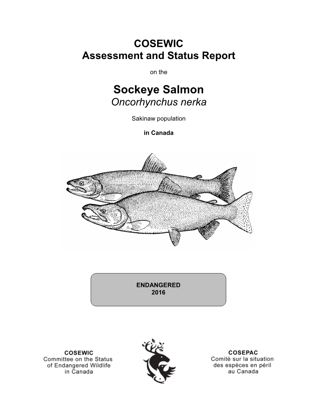 Sockeye Salmon Sakinaw Population Oncorhynchus Nerka